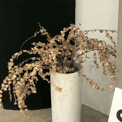 Furry插画色彩搭配Furry群